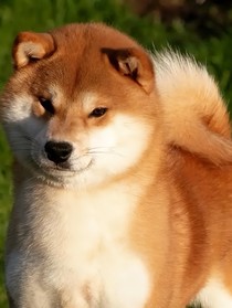 天青宗苦逼大師兄