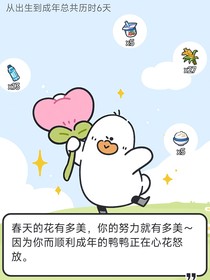 九檸知識(shí)集