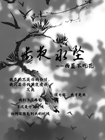 长夜永坠