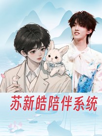 苏新皓陪伴系统