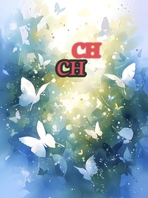 CH随笔篇