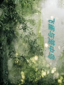 飞雀与笼中鸟