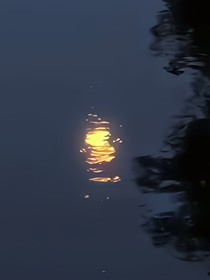 小花仙之朝開暮落