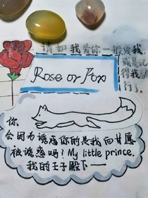 伪玫瑰花与小王子