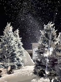南城雪i