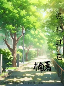 相遇过后