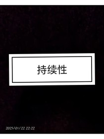 持续性
