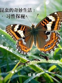 虫之语