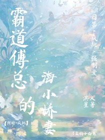 霸道傅总的海小娇妻