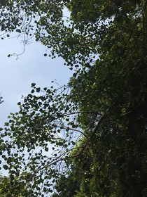 高冷上司：她到底喜不喜欢我？！