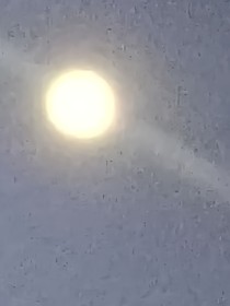 不要以下犯上