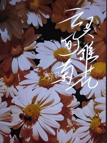 亡灵的雏菊花