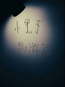 小黑子畅游记