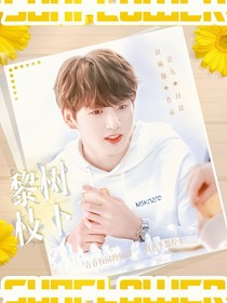 BTS：黎树枝下