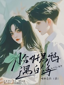 恰好黑鸦遇白鸽