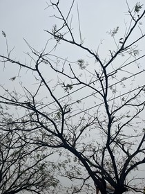 回忆最痛
