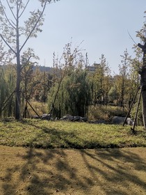 许你十里春风