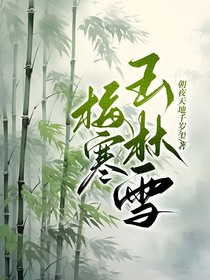 梅寒玉林雪