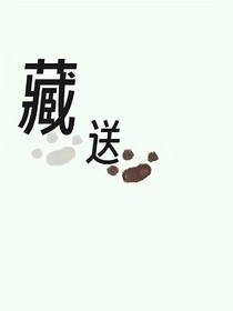 藏送
