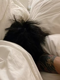 故事始于夏再见需等候