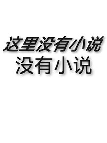 这里没有小说！