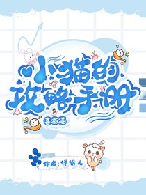 喜猫猫：小猫的攻略手册