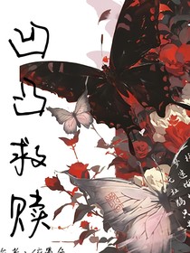 凹凸：救赎Svita
