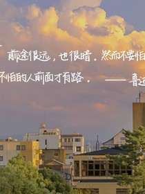 去尋找光