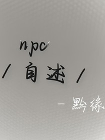npc自述