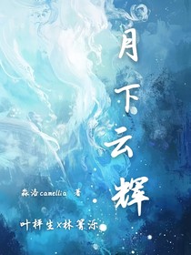 月下云辉