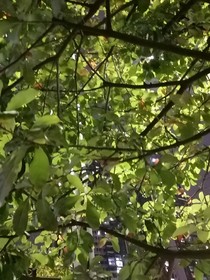 春归无觅处