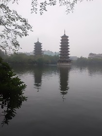 约定花海