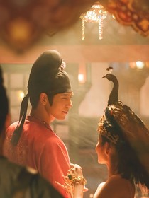 國(guó)色芳華：郎君且慢行