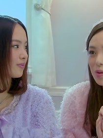 舞法天女之恋爱篇