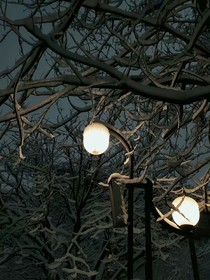 深不见渊