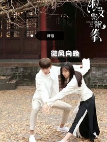淑女飄飄拳：微風(fēng)向晚
