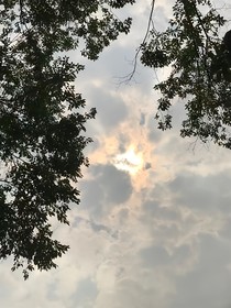 青春到无疾而终