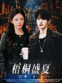 张峻豪：梧桐盛夏