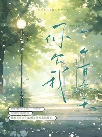 你欠下的那个夏天