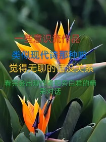 狂幻想（意识流现代诗类型）