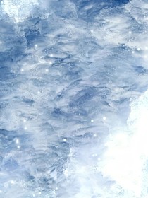 魚懷雪驚