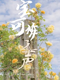 宝可梦：无声