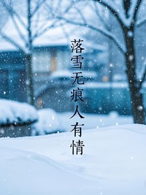 落雪无痕人有情