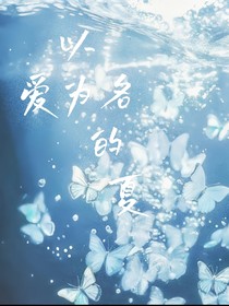 以愛(ài)為名的夏
