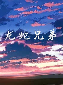 开联之龙蛇兄弟