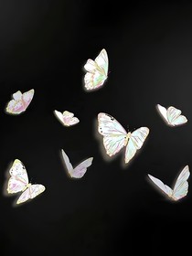 證詞無聲言