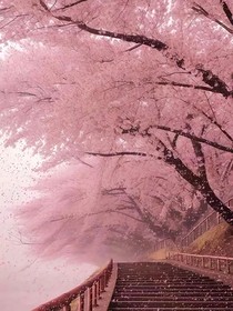 就等结婚这句话