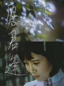 愿君逢