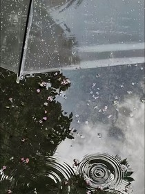 抓妖师2