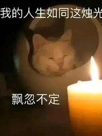 赛尔号：同一个月亮